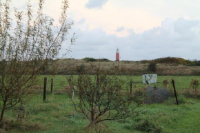 boerderij de duinen 111